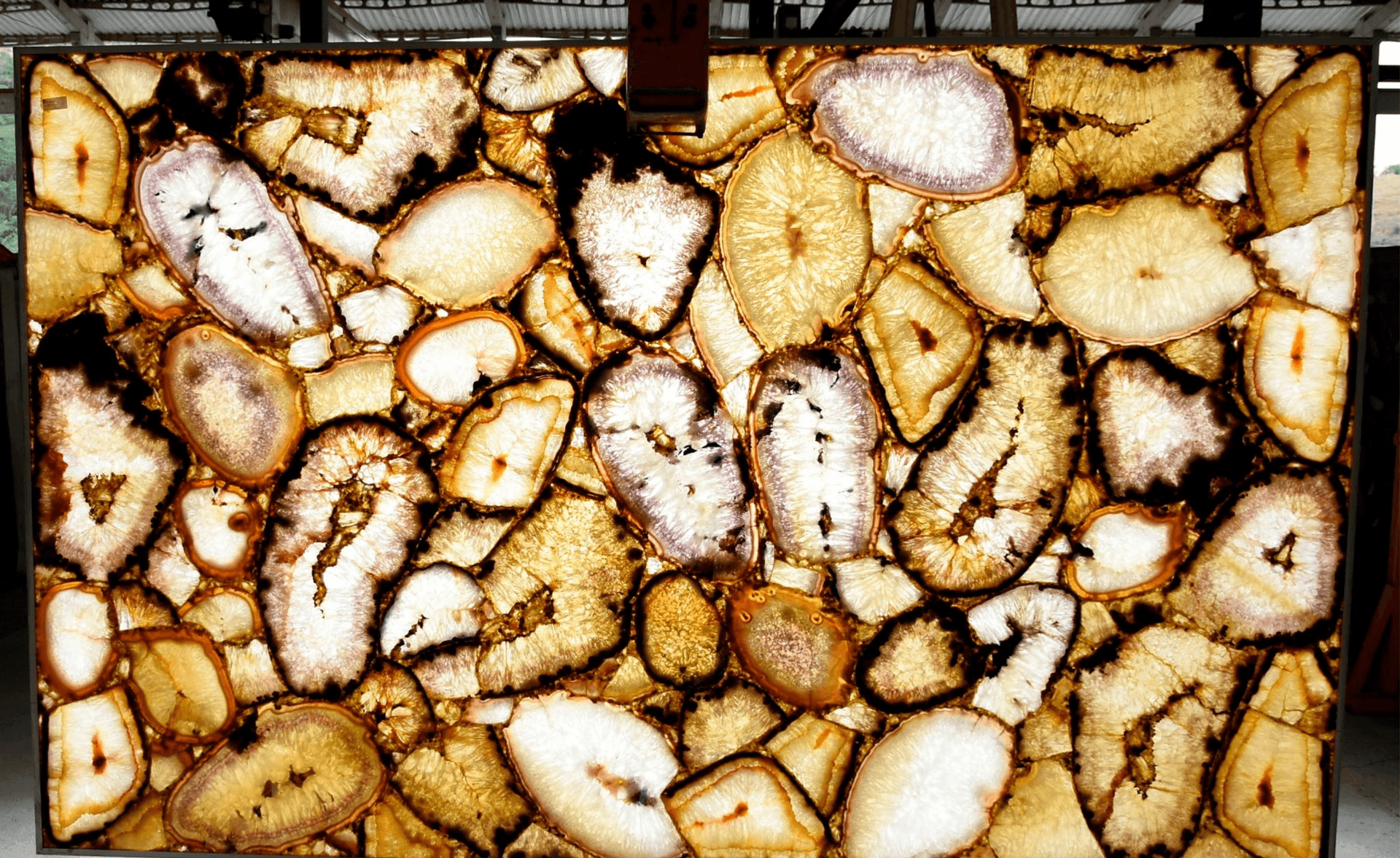 Close-up of a polished stone slab with various geode slices in earthy tones and distinct patterns.